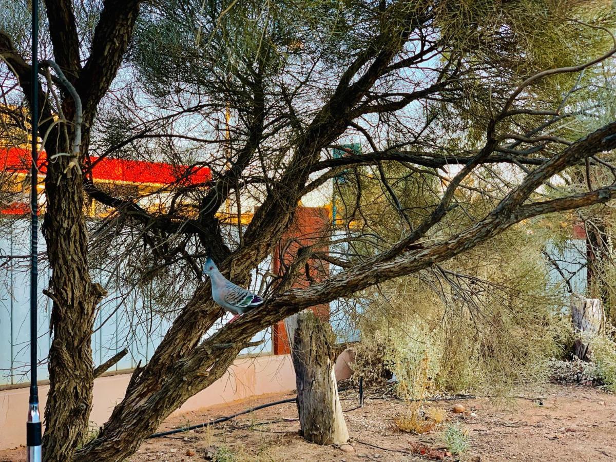 Desert Cave Hotel Coober Pedy Exterior foto